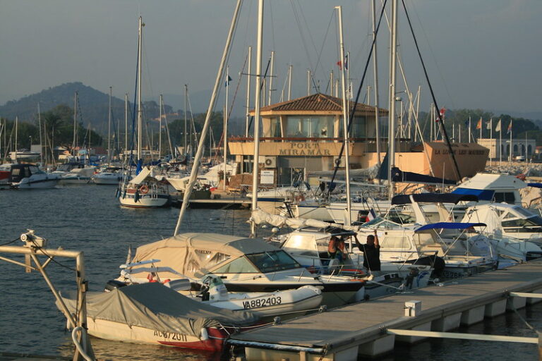 49299964312 21c35a8cf9 c