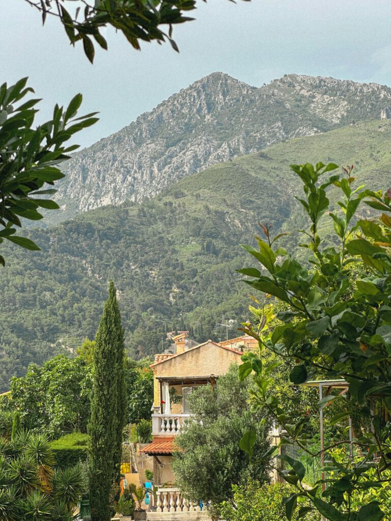 pexels eli fransen 2149235223 32646151